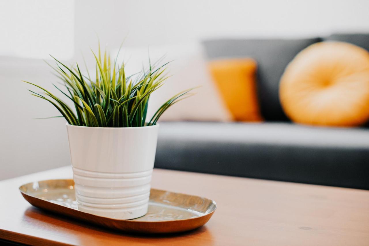 Appartement Cosy Avec Place De Parking Prive 툴루즈 외부 사진